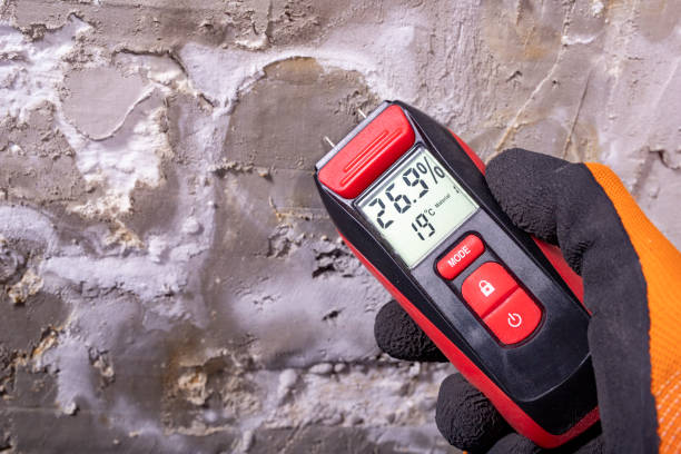Best Mold Cleaning Services  in Chocowinity, NC