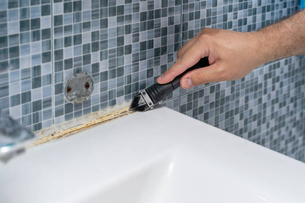 Best Best Mold Removal Companies  in Chocowinity, NC