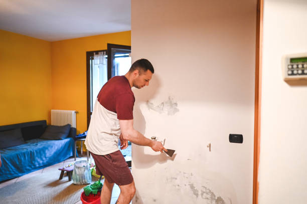 Office Mold Removal Services in Chocowinity, NC